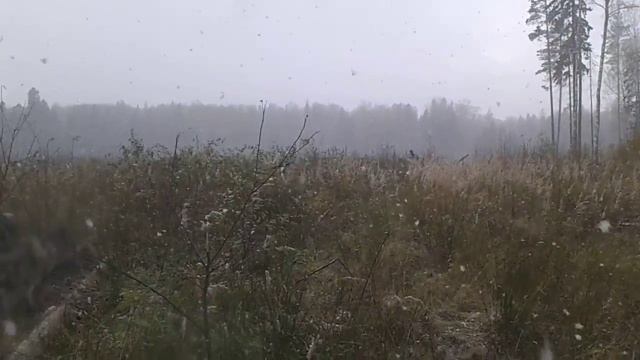 посадка елок зимой 2 смотреть онлайн