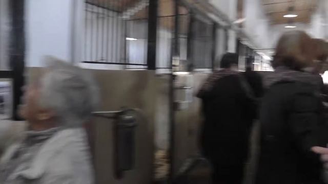 19.05.2017 В конюшне Казанского КСК 06305 смотреть онлайн