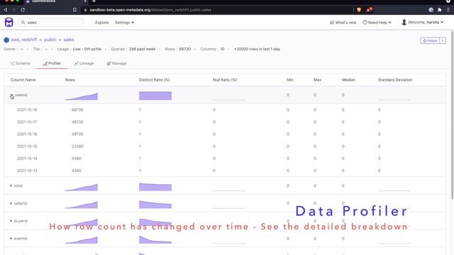 OpenMetadata 0.5 - Data Profiler смотреть онлайн