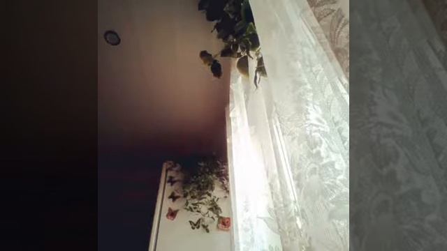 я куплю тебе новую жизнь смотреть онлайн