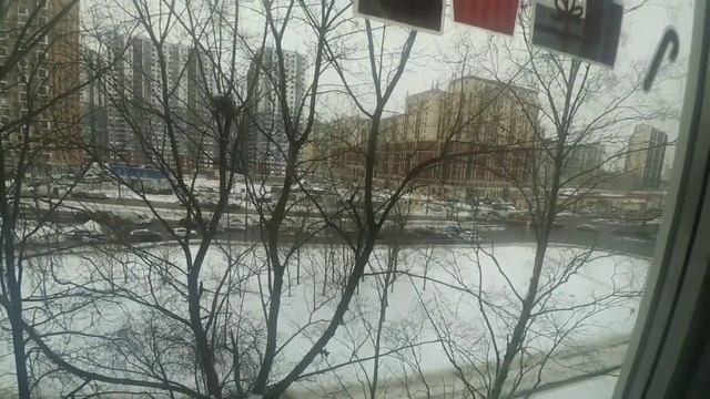 из архива,чуть не купил Лада Ларгус/не сошлись в цене! смотреть онлайн