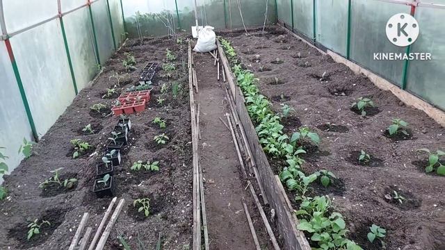 Я всё сажаю, готовлю индейку со спаржей смотреть онлайн