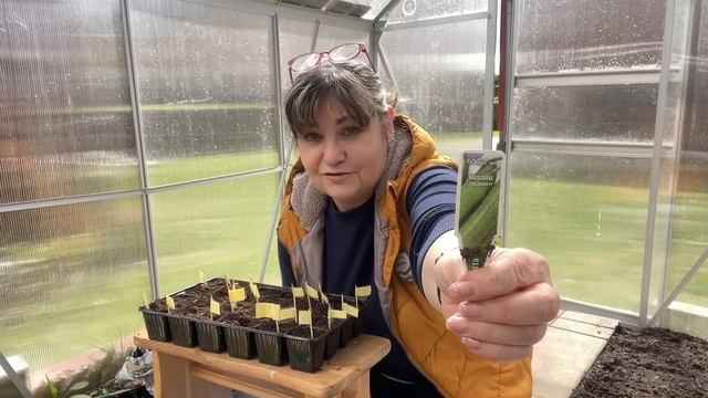 Наконец-то я это сделала!работа в моей милой теплице,переводим часы,опять,забыли,что обещали,семян? смотреть онлайн