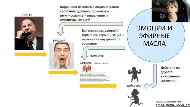 Аромапсихология и ..лимон. Эксклюзивно для лимонного челенджа. смотреть онлайн