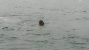 ПОСЛЕДНИЙ ГЕРОЙ 6 СЕЗОН 12 СЕРИЯ