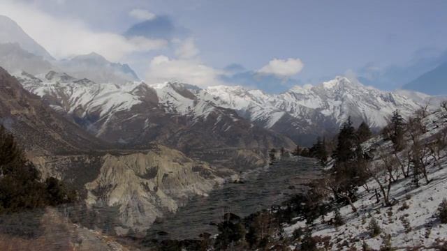 16. Karmapa- Chenrezig puja смотреть онлайн