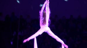 Circus. Aerialists. Цирк. Воздушные гимнасты на полотнах.