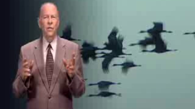 Бог чудес смотреть онлайн