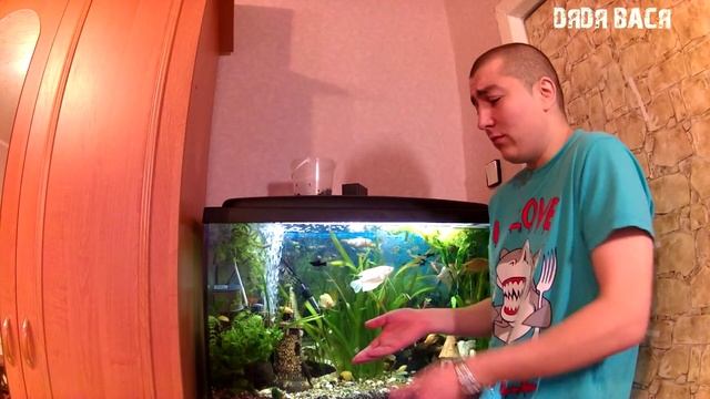 Грунт для аквариума,а так же пару слов о декорациях [#Грунт для аквариума] смотреть онлайн