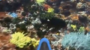 Плоская Планета. ВИА Лейся Песня. Клип.