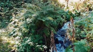 Поездка на Осиновский водопад    Trip to Osinovsky waterfall