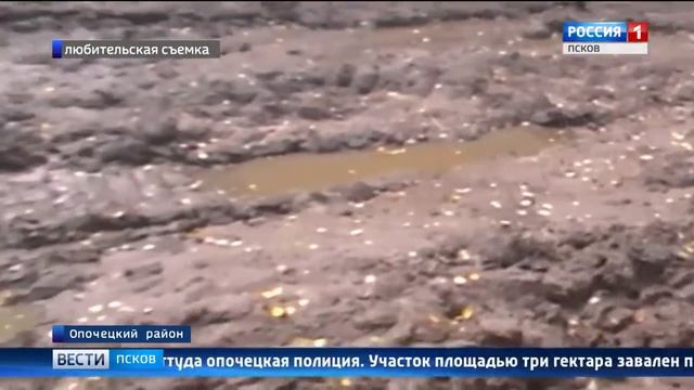 О загрязнении земель сельхозназначения в Опочецком районе Псковской области смотреть онлайн