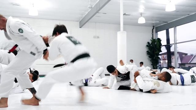 Rafael Mendes | Transitions & Submissions April 2019 | Artofjiujitsu.com