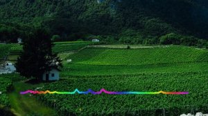 Эльмира Ахмедова - Доченька 2023