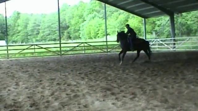 Bockande häst смотреть онлайн