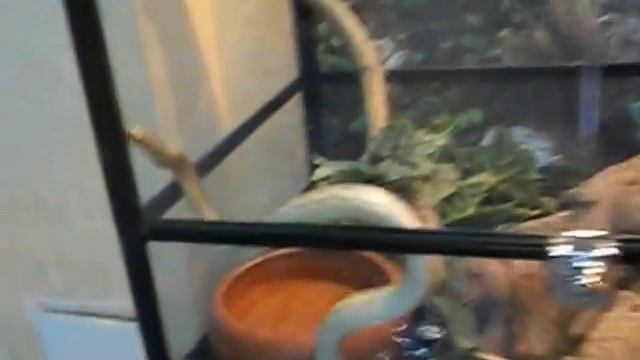 новосибирский зоопарк террариум 10 часть заключительная смотреть онлайн