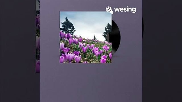 The Last Waltz смотреть онлайн