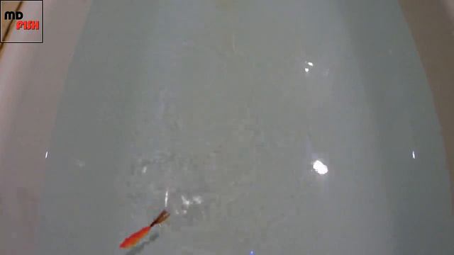 Бокоплав "Аква". Ручная работа. смотреть онлайн