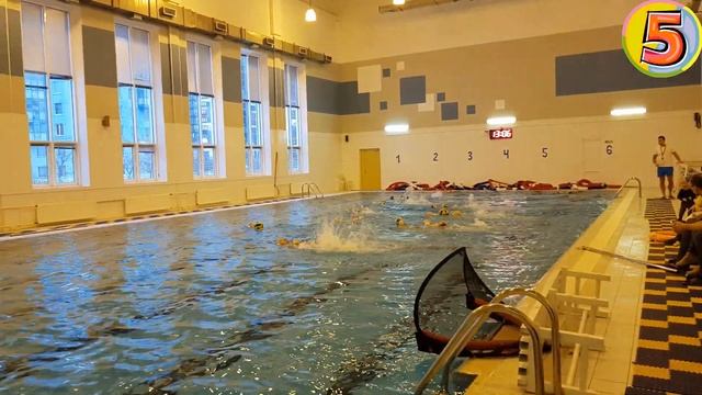 Водное поло! Приморский район. Урок. смотреть онлайн