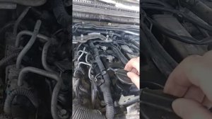 Картерные газа на патфайндере