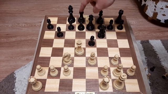 Шахматы. Сказочная атака на рокировку. Знать правильные ходы в шахматах. смотреть онлайн