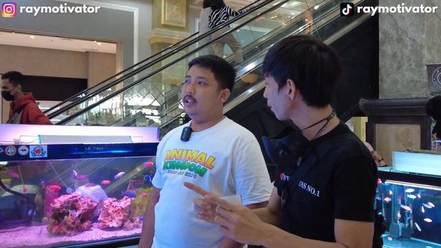 PECINTA HEWAN WAJIB NONTON. ULAR KADUT PIED RAIH JUARA DI KONTES REPTIL JOGJA SCH