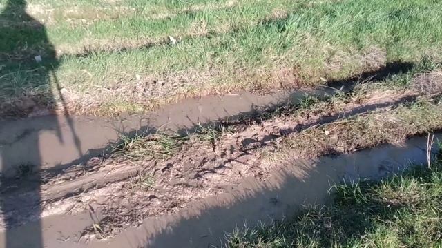 засадил в грязи минитрактор. смотреть онлайн