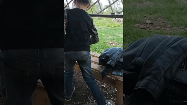 мои друзья рассказывают о своих любимых животных! смотреть онлайн