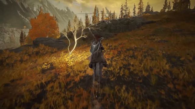ELDEN RING How To Get The Purifying Crystal Tear From Yura's Questline Part 2ish смотреть онлайн