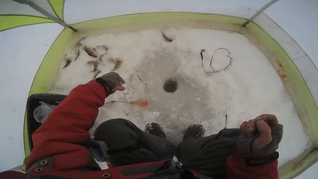 Как заставить клевать окуня когда он этого не хочет! смотреть онлайн