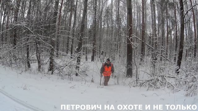 ОХОТА НА КОСУЛЮ. 15.12.18 ВЫХОД КОСУЛИ НА НОМЕР . ЗАКРЫЛИ ЛИЦЕНЗИЮ. смотреть онлайн