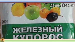 Лук севок ПОД ЗИМУ Самые ВАЖНЫЕ секреты осенней посадки ЛУКА Простой и надежный способ выращивани