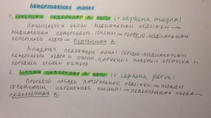 Билет 084. ПОВЕРХНОСТНЫЕ И ГЛУБОКИЕ ВЕНЫ НИЖНЕЙ КОНЕЧНОСТИ.