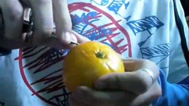 Вот что можно сделать из апельсина. смотреть онлайн