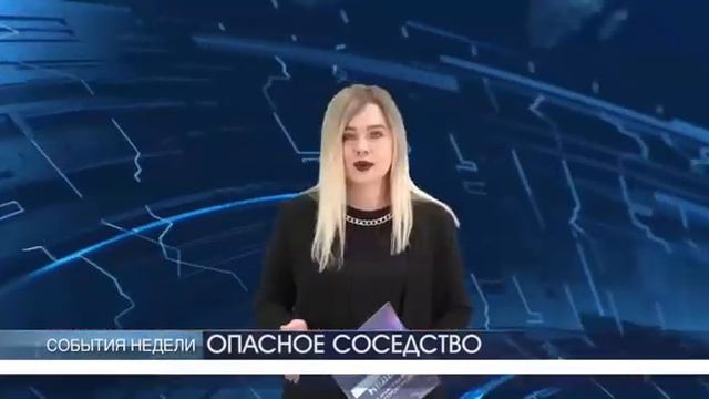 Сивучи и люди. Камчатка. Опасное соседство. Эпизоотия. смотреть онлайн