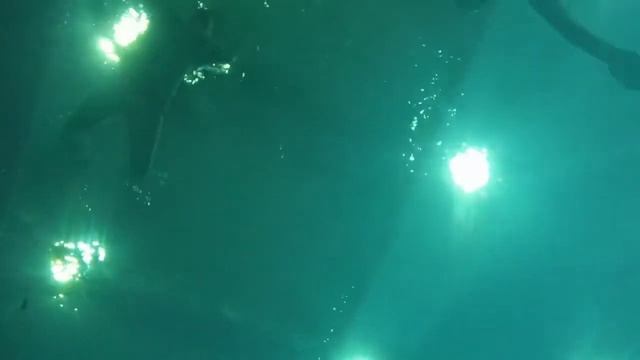 mixtrn смотреть онлайн