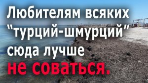 #Крым Портовое Что творится на пляжах, обзор цен.