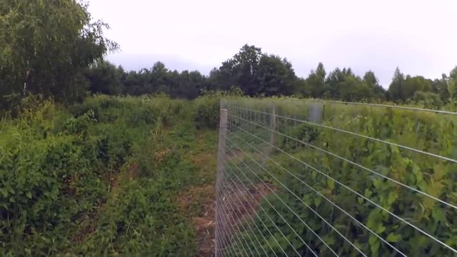 Деревенские Будни // Когда работа не в радость смотреть онлайн