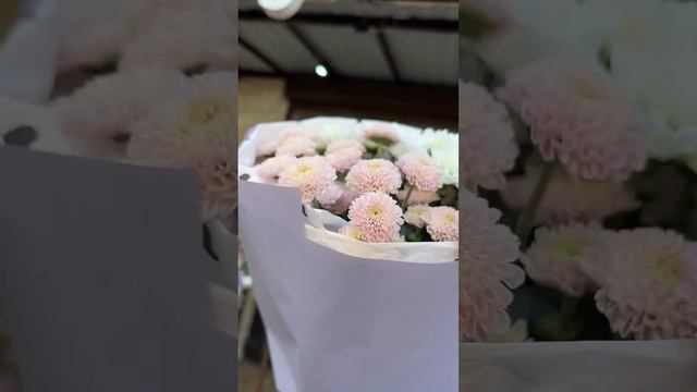 Цветы луны Саратов смотреть онлайн