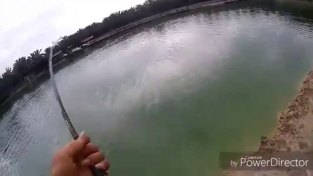 BlackMarket Barrett 8-20lbs vs Chao Phraiya Catfish смотреть онлайн