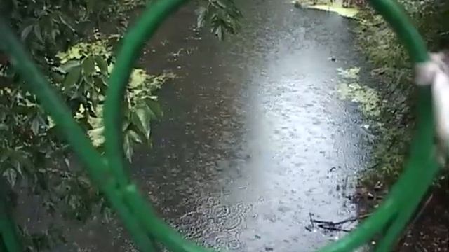 Искали неделю и случайно нашли в Мелекесске смотреть онлайн