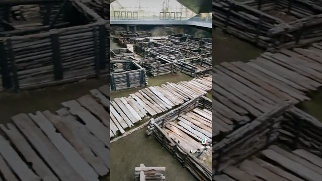 Музей Берестье ТОЖЕ ЗАТОПИЛО? вопрос зрителя смотреть онлайн