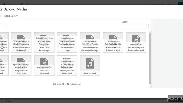 Episodes are not playing : Livecast WordPress Premium Theme for PodCasters смотреть онлайн