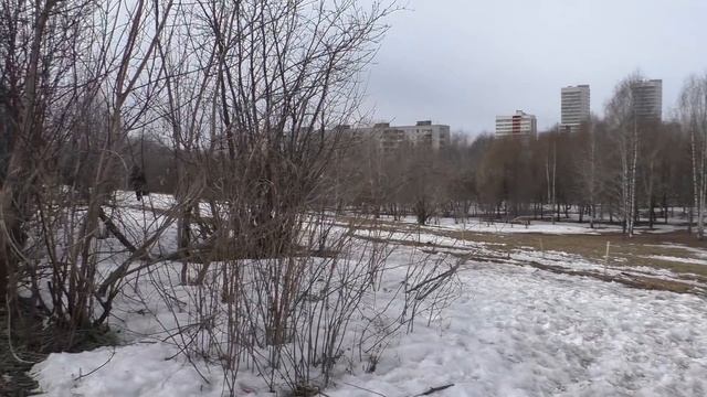 парк 50лет ВЛКСМ