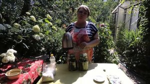 ОГУРЦЫ маринованные с кориандром на зиму