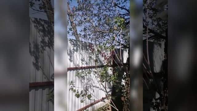 Доброе утро Мир?