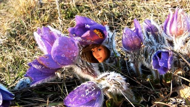 Подснежник! смотреть онлайн