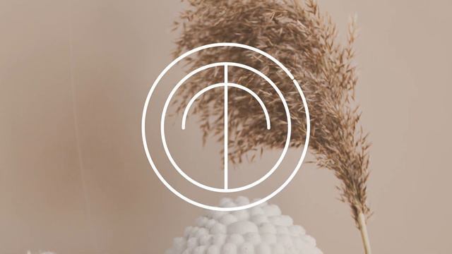 Elevating Harmony: Unveiling the Sheez Music Instruments Logo Motion смотреть онлайн