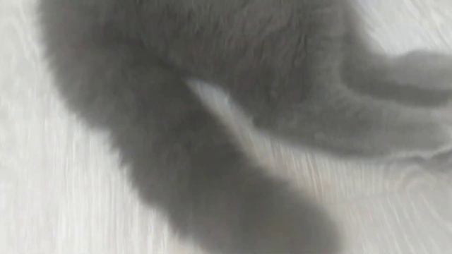 мы улыбаемся