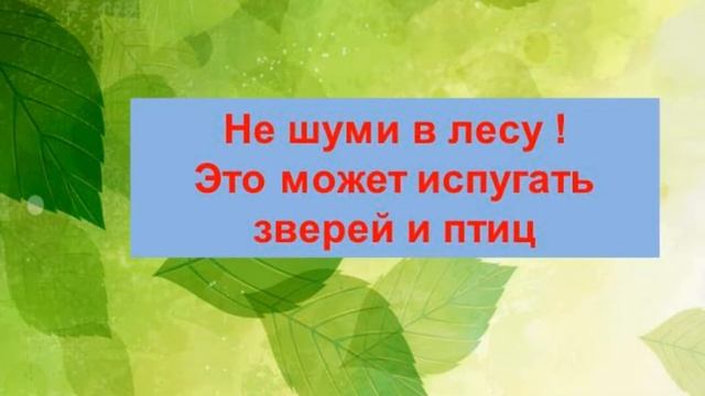 Экологический час «За природу в ответе и взрослые и дети» смотреть онлайн